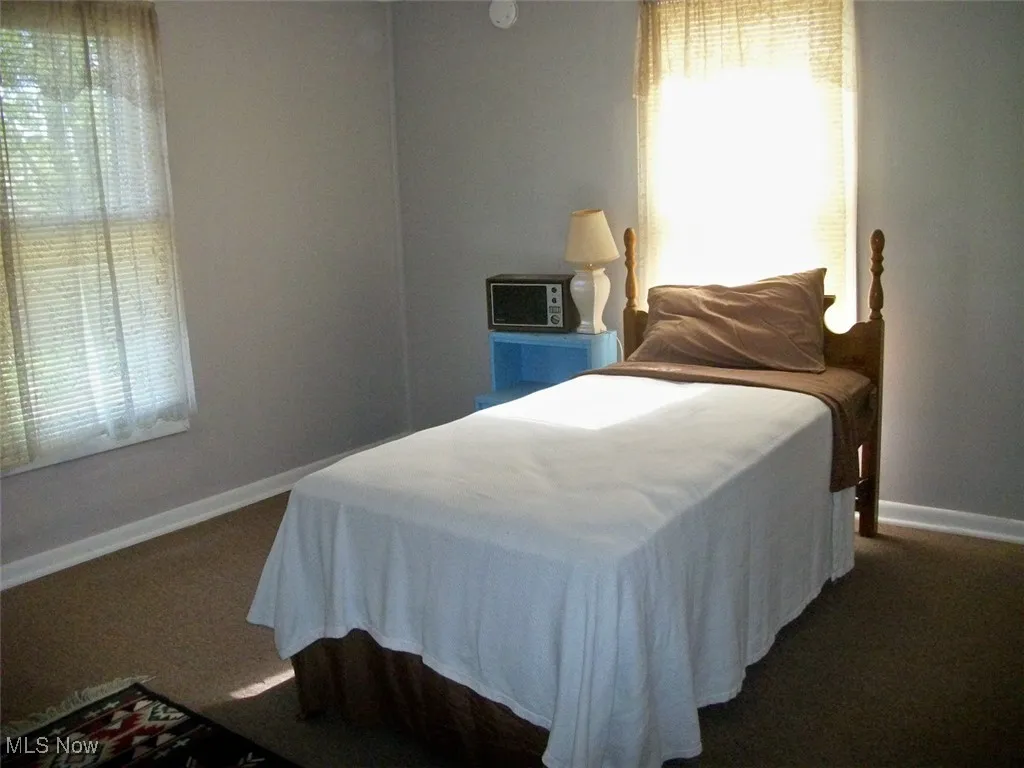 Bedroom with carpet flooring, multiple windows, and baseboards