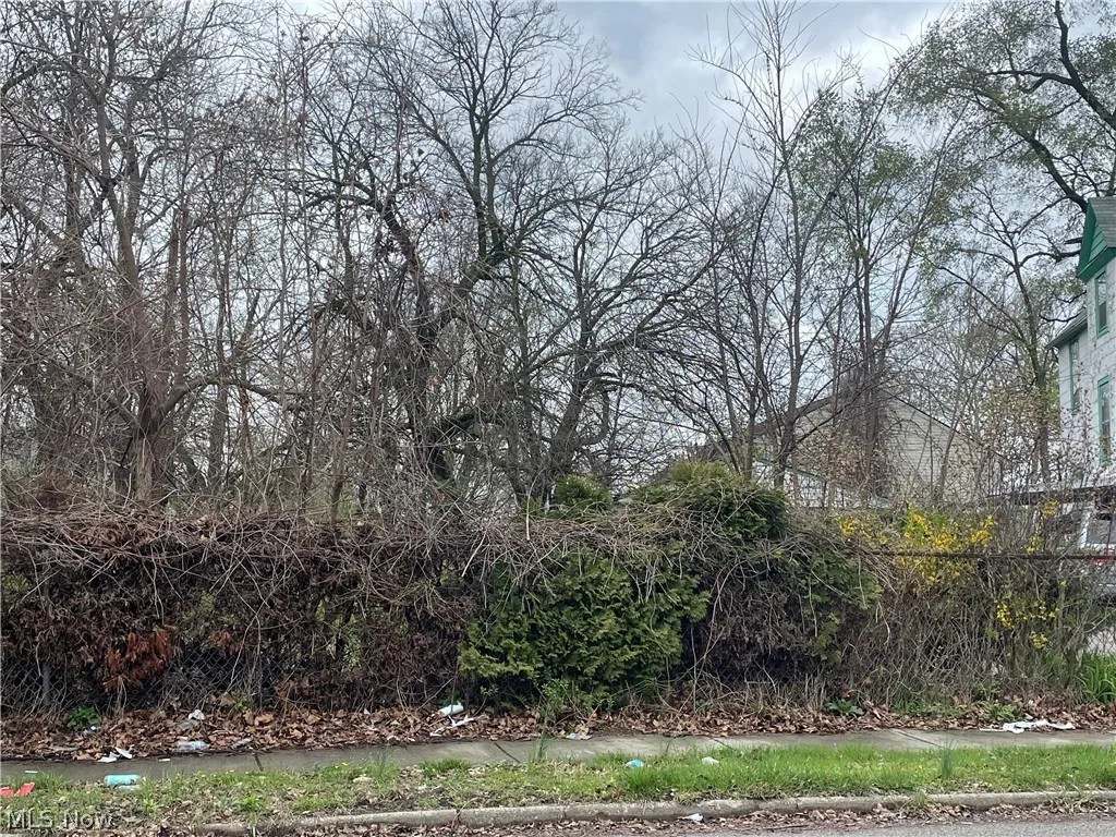 E 93rd Street, Cleveland, Ohio,MLS Now Listing ID