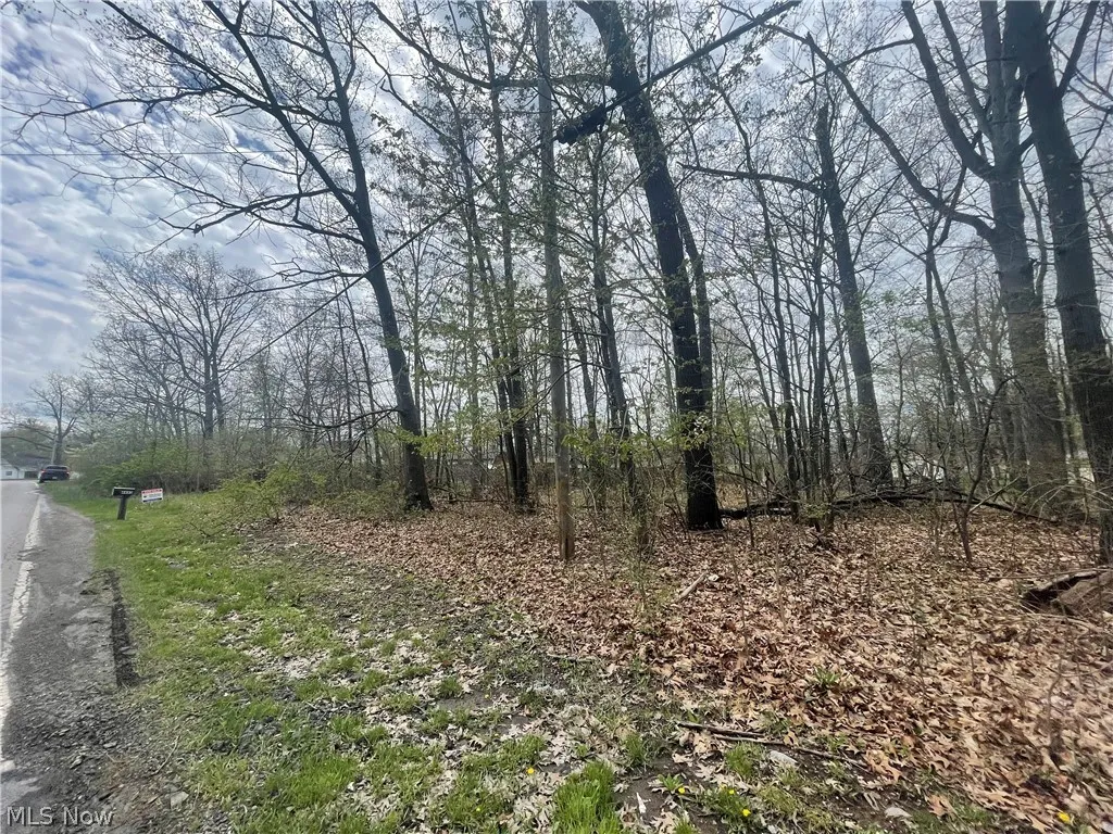 View of nature