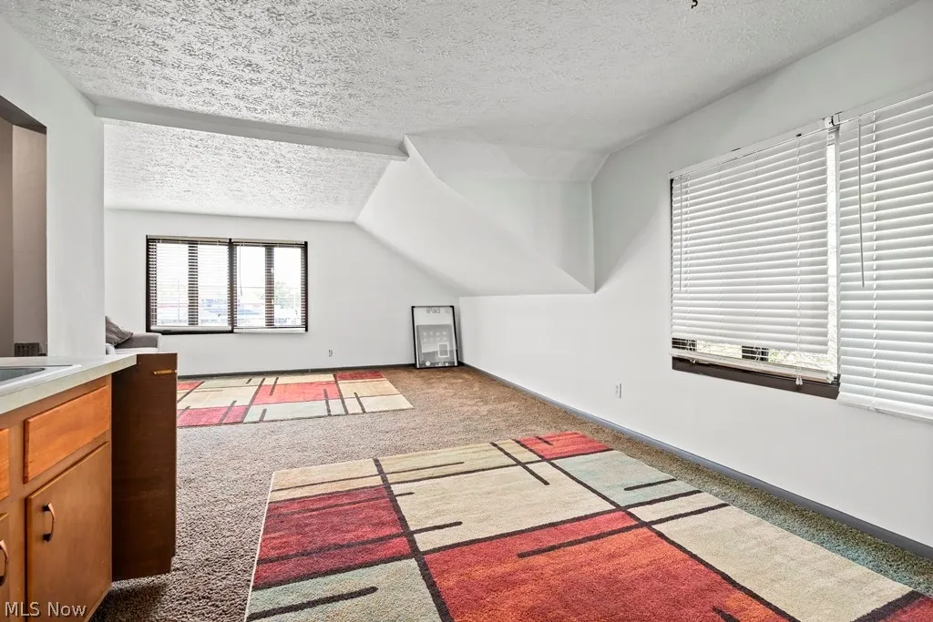 436 Cleveland Street, Elyria, Ohio,MLS Now Listing ID