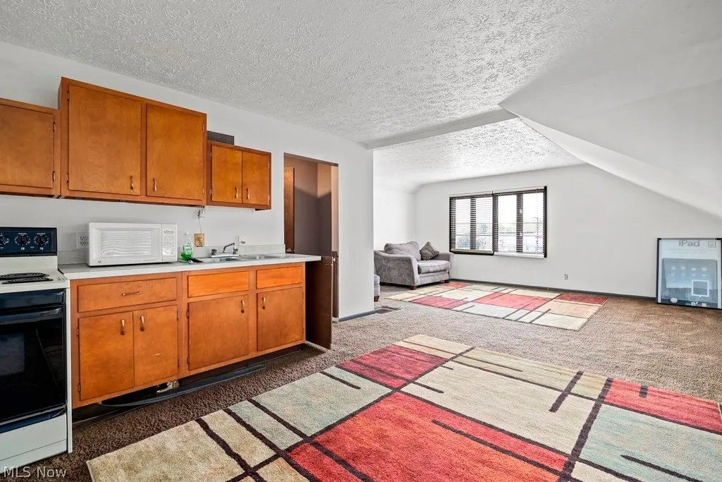 436 Cleveland Street, Elyria, Ohio,MLS Now Listing ID