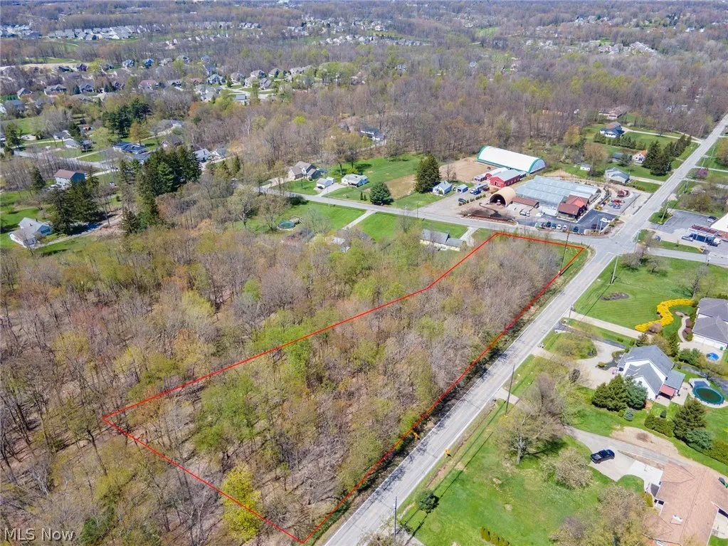 View of bird's eye view