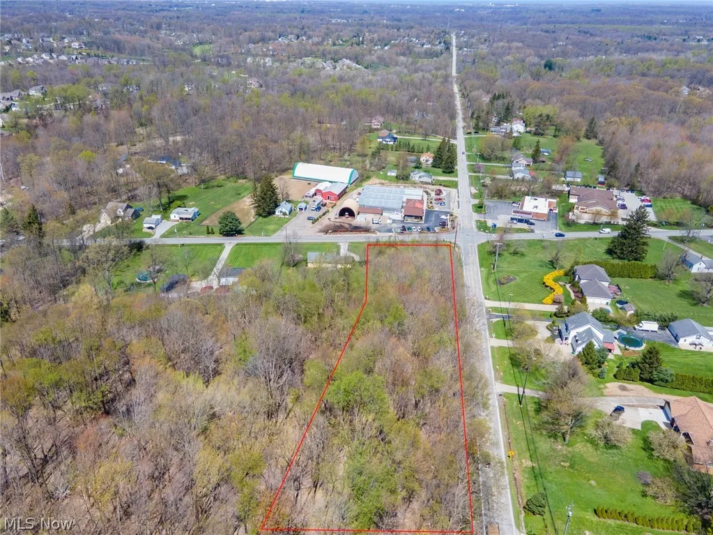View of bird's eye view
