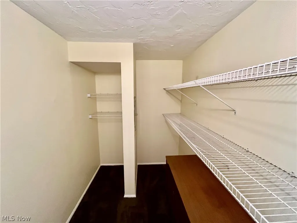 One of three closets in the master suite
