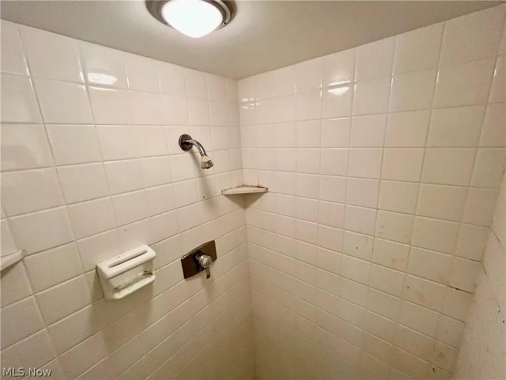 Large shower and tub