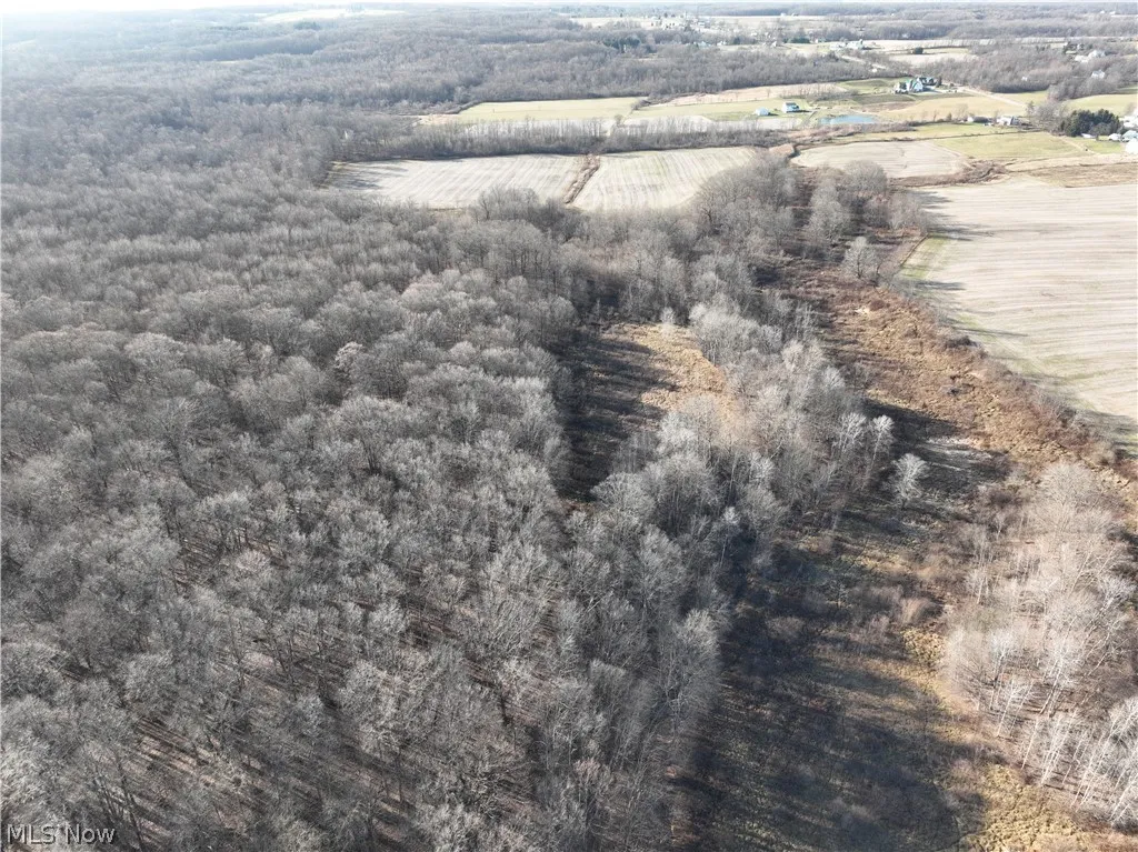 Drone / aerial view featuring a rural view