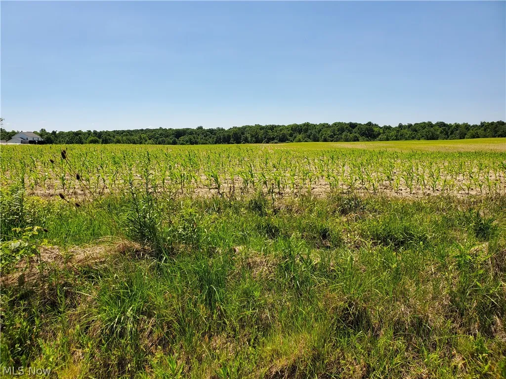 featuring a rural view