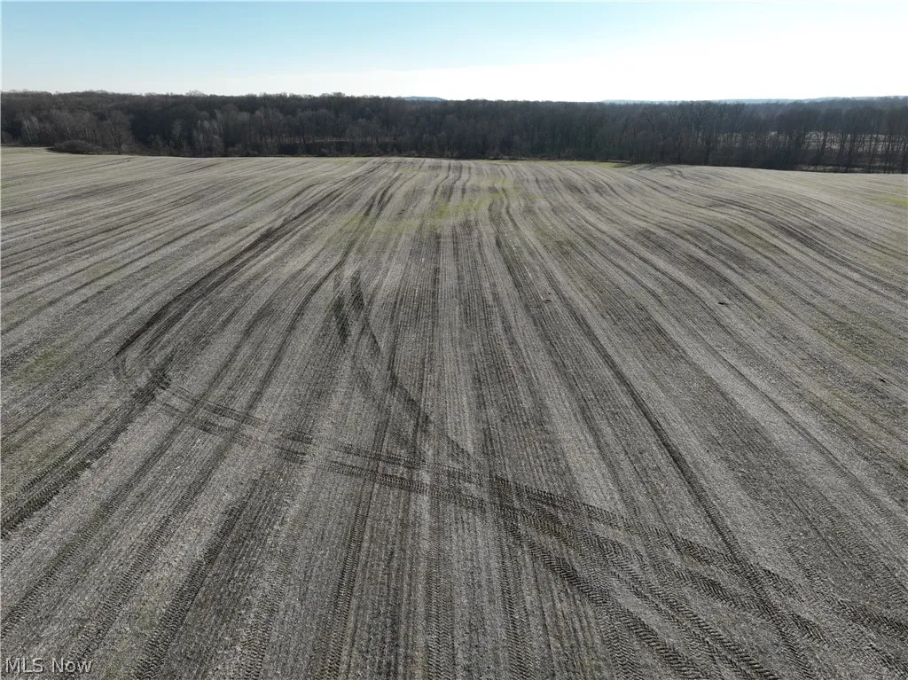 field