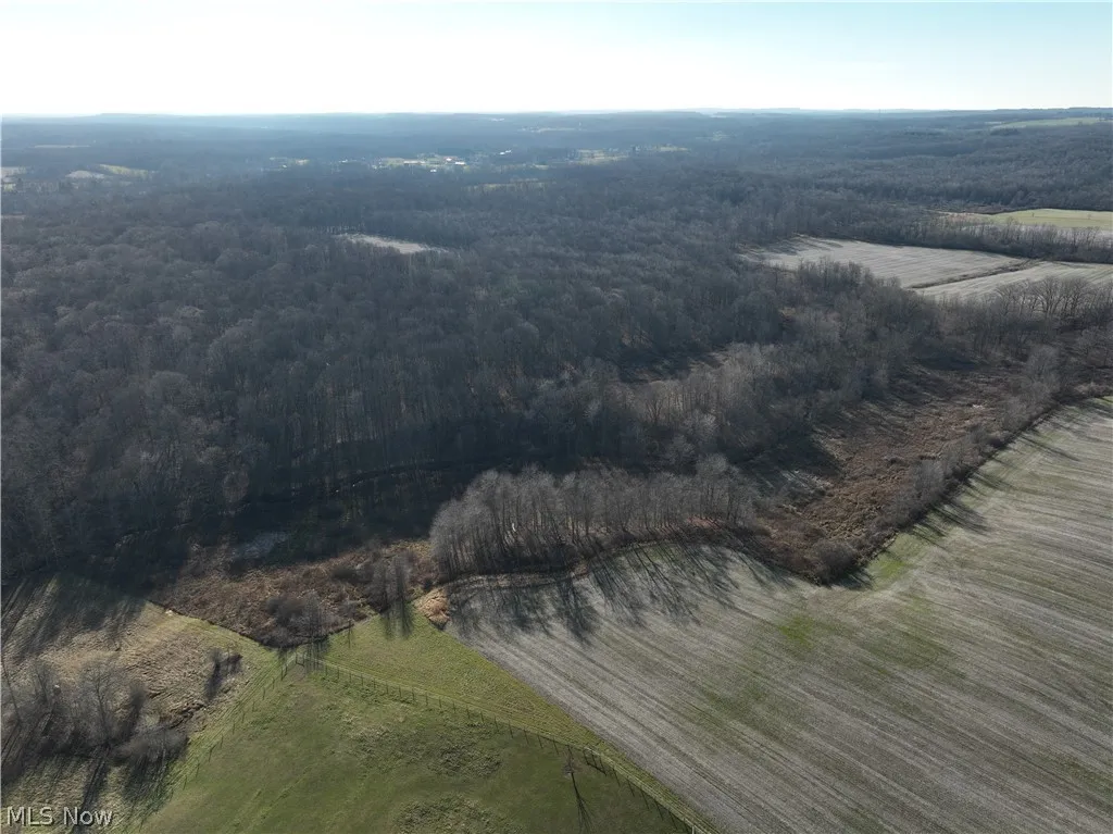 View of drone / aerial view