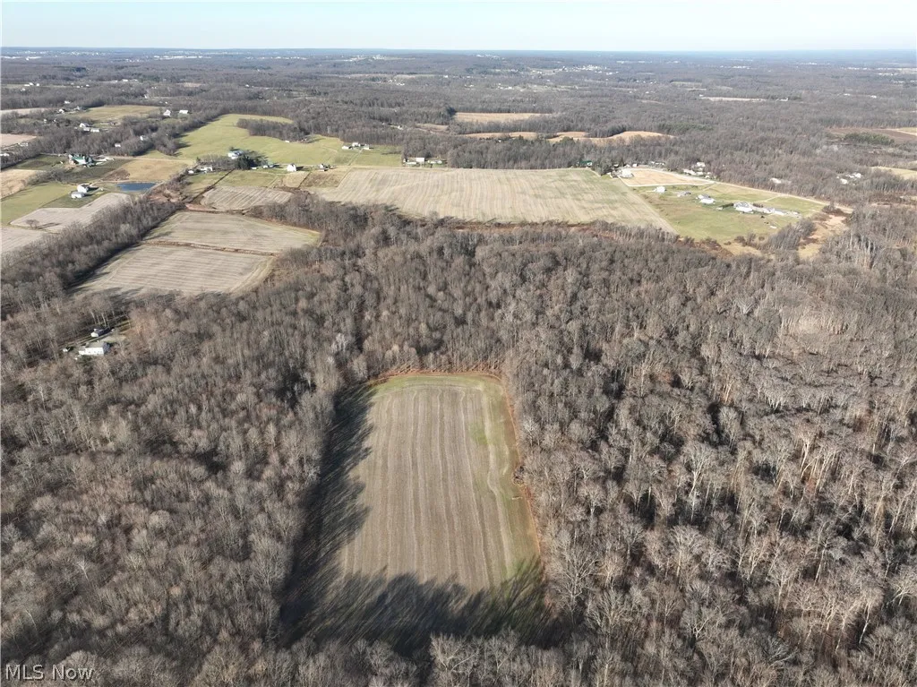 Drone View