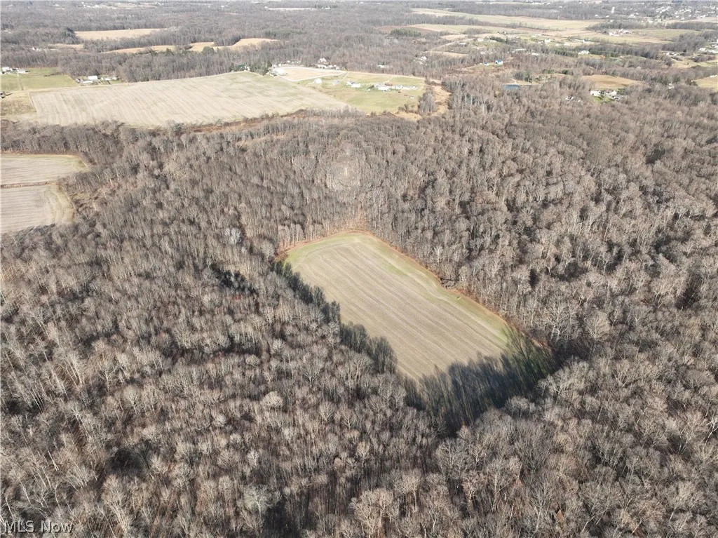 Birds eye view of property with a rural view