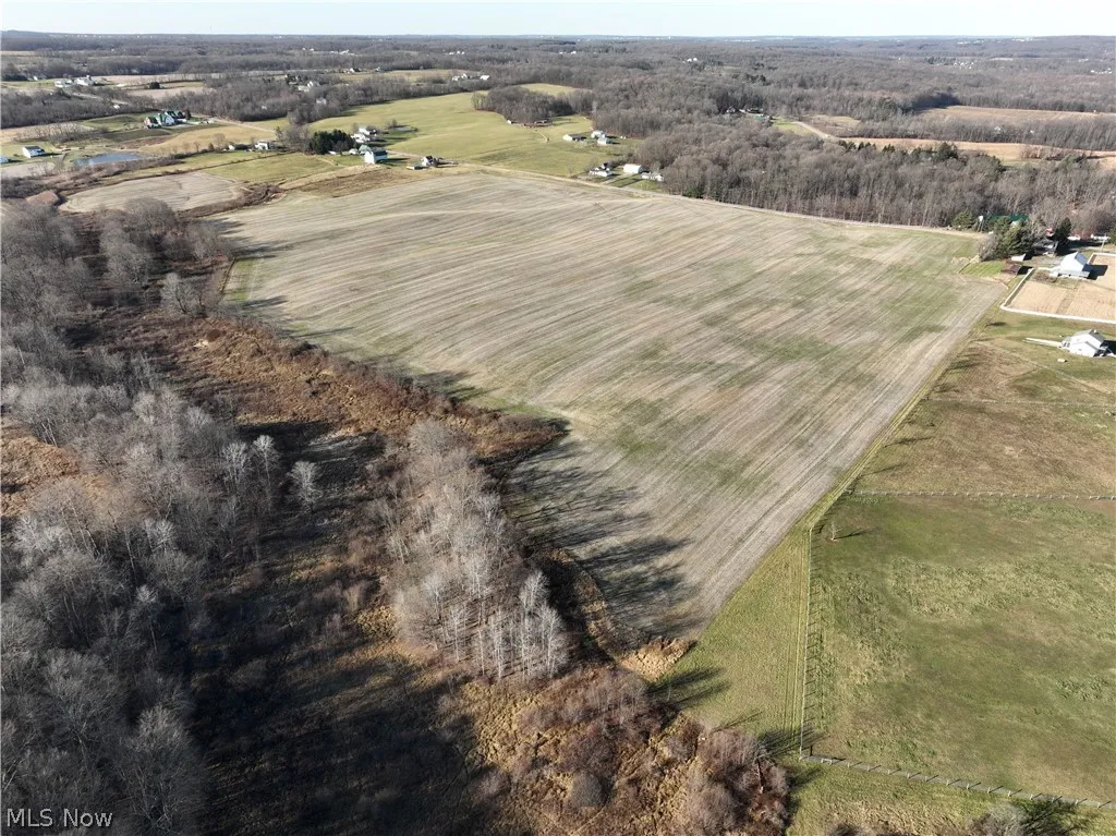 Drone / aerial view featuring a rural view