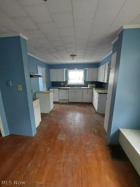 Kitchen with sink, dark hardwood / wood-style flooring, white cabinets, and white dishwasher