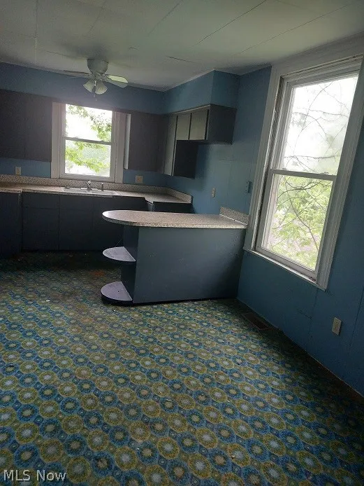 Kitchen with a healthy amount of sunlight, sink, and ceiling fan