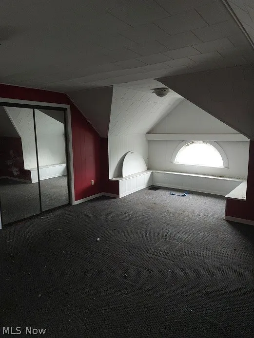 Additional living space featuring carpet floors and vaulted ceiling