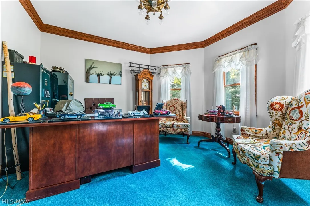 9111 Woodworth Road, Boardman, Ohio,MLS Now Listing ID