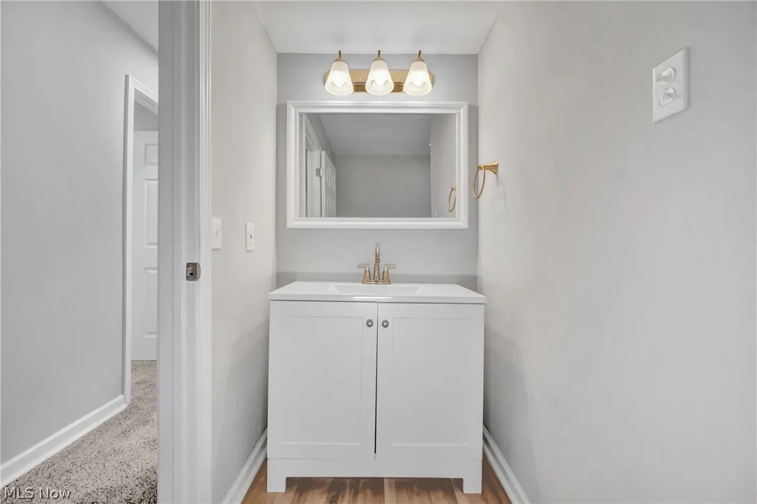 Bathroom featuring  wood-style flooring and vanity