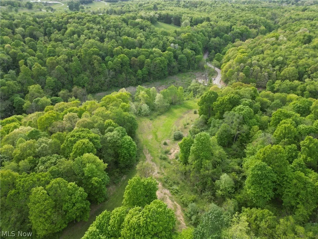 View of drone / aerial view