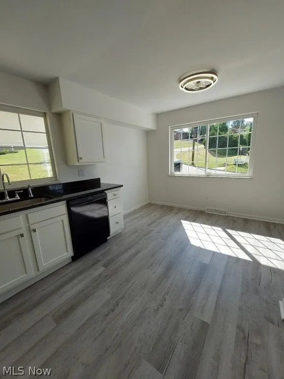 Kitchen featuring dishwasher, white cabinetry, and light wood-type flooring