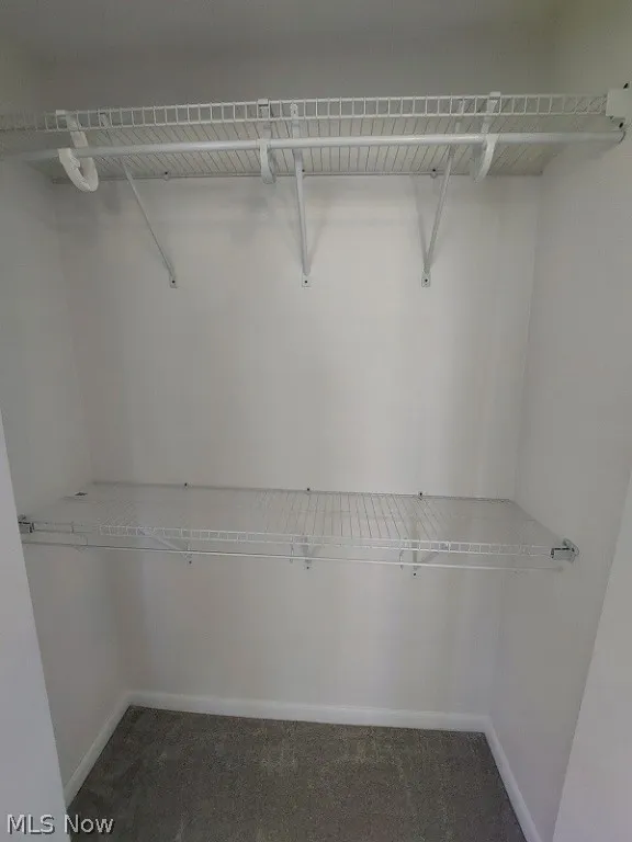 Walk in closet with carpet