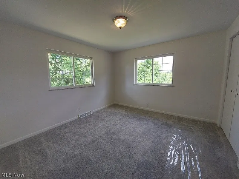 Empty room with a healthy amount of sunlight and carpet flooring