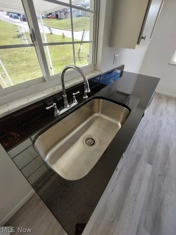 Kitchen featuring sink and light hardwood / wood-style flooring