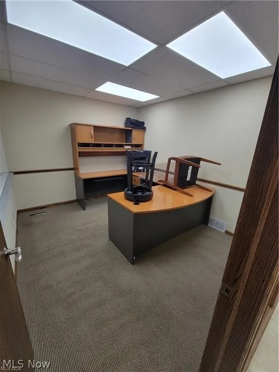 Office space featuring carpet flooring and a paneled ceiling