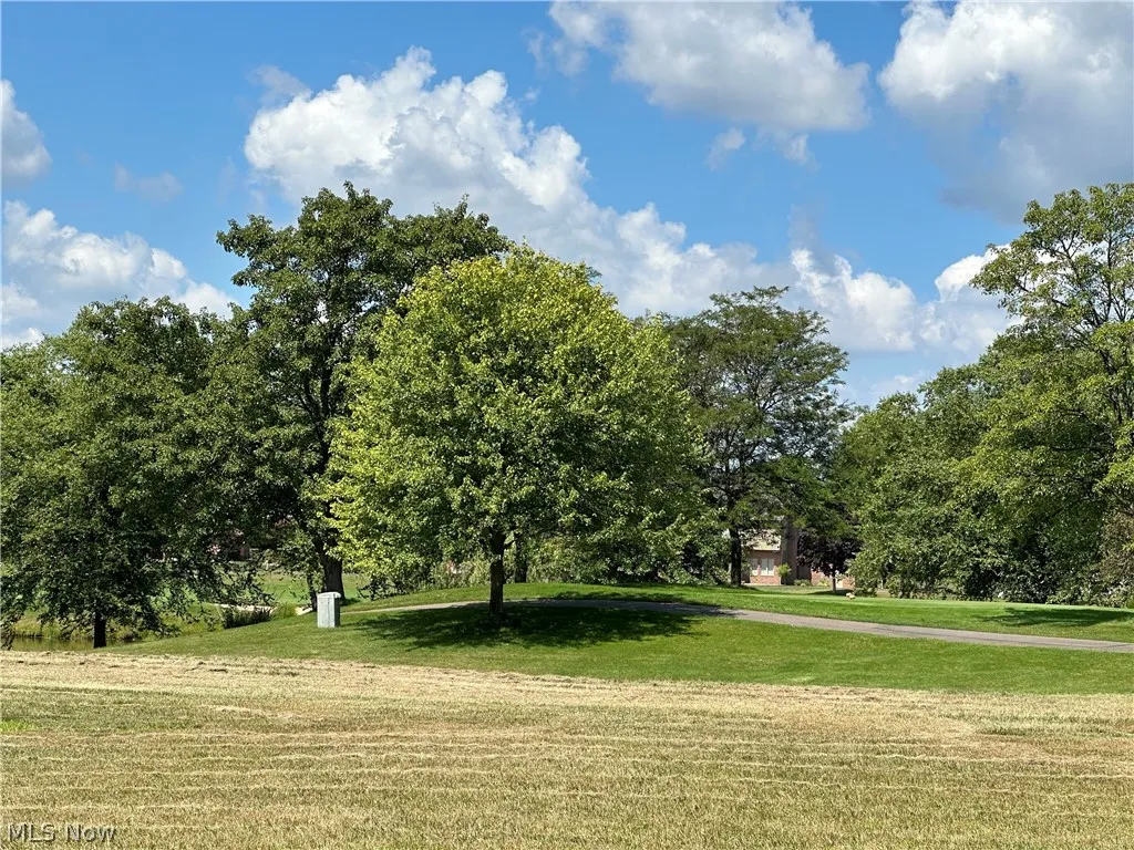 Hollyhock Avenue, Canton, Ohio,MLS Now Listing ID