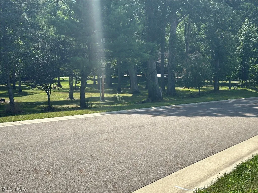 Hollyhock Avenue, Canton, Ohio,MLS Now Listing ID