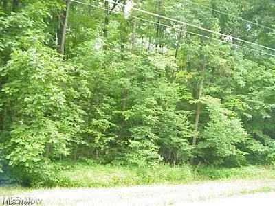 View of local wilderness