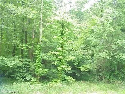 View of nature