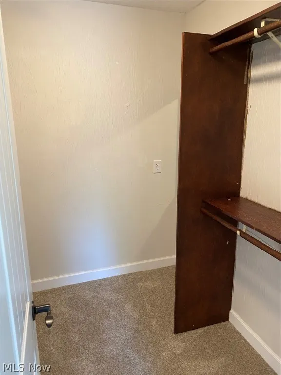 Spacious closet featuring carpet flooring