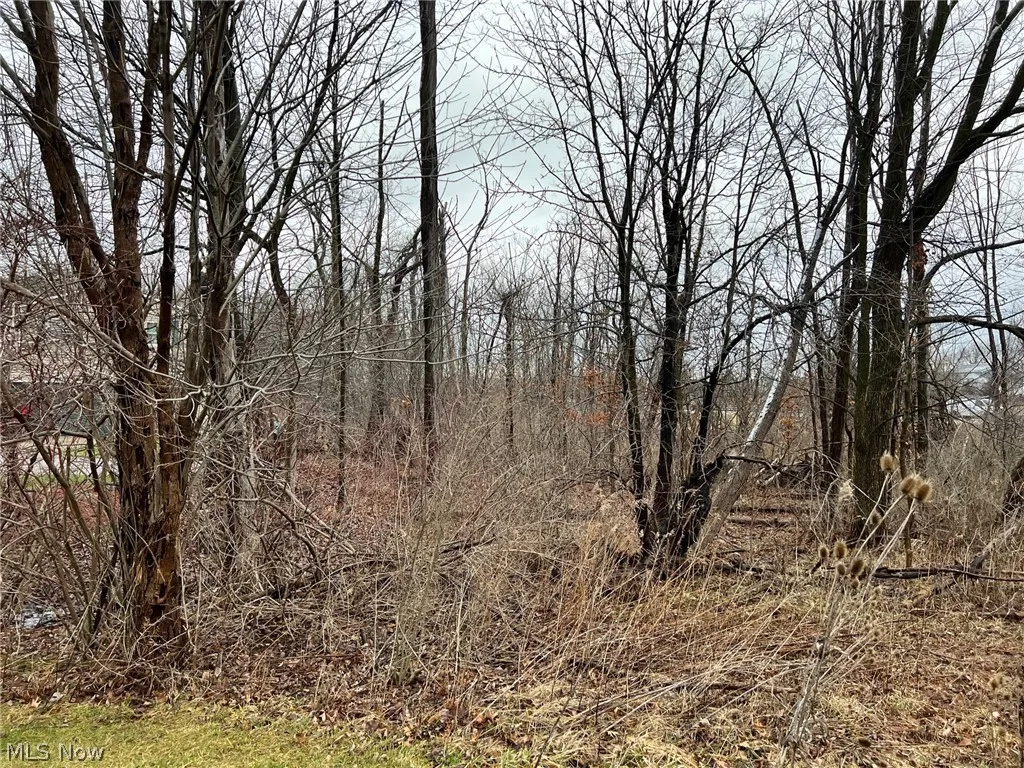 15604-REAR Boston Road, Strongsville, Ohio,MLS Now Listing ID