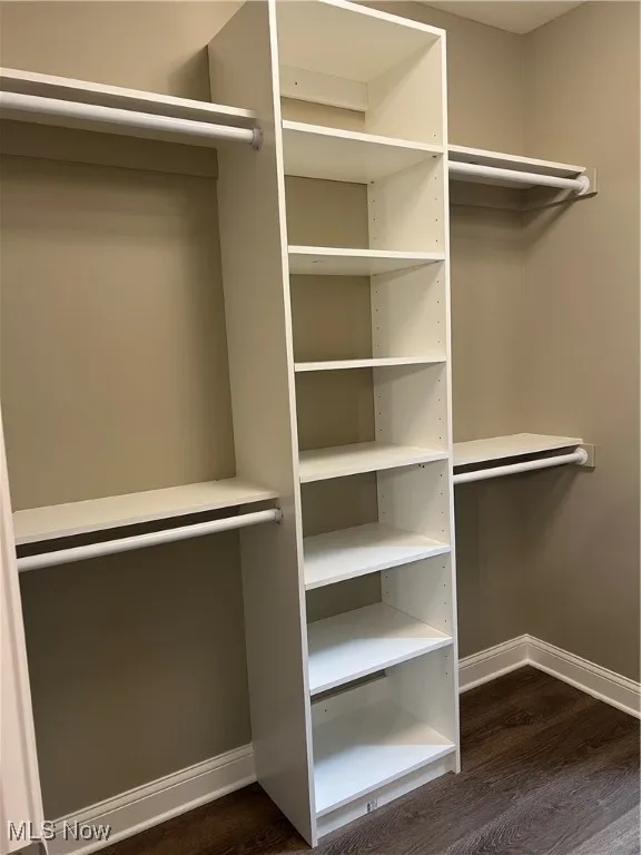 Spacious closet featuring dark wood-type flooring