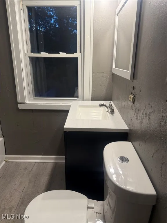 Bathroom featuring wood finished floors and vanity