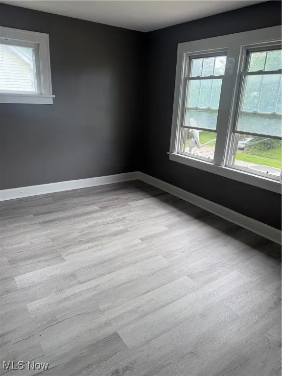 Spare room featuring healthy amount of natural light and wood finished floors