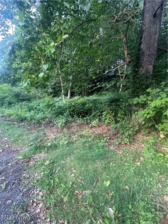 View of nature