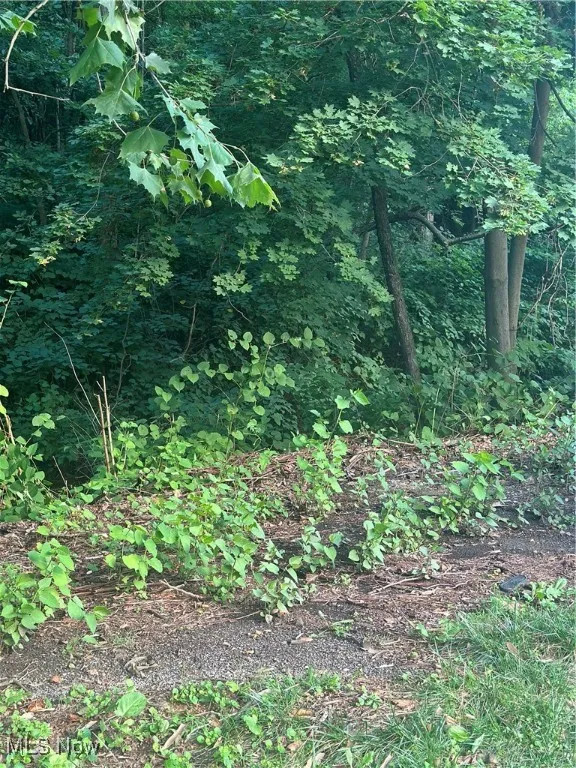 View of nature