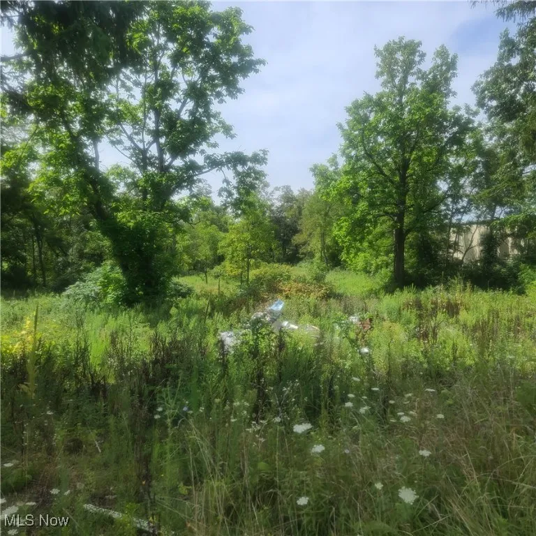 41310 Brown Road, Bethesda, Ohio,MLS Now Listing ID