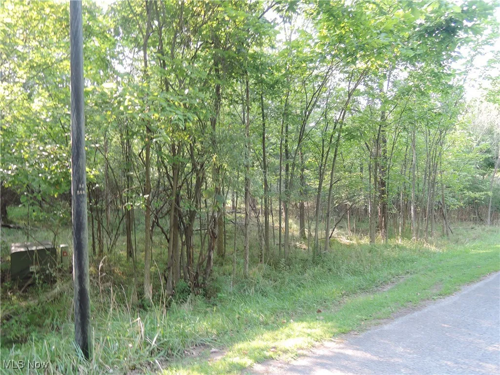 View of road