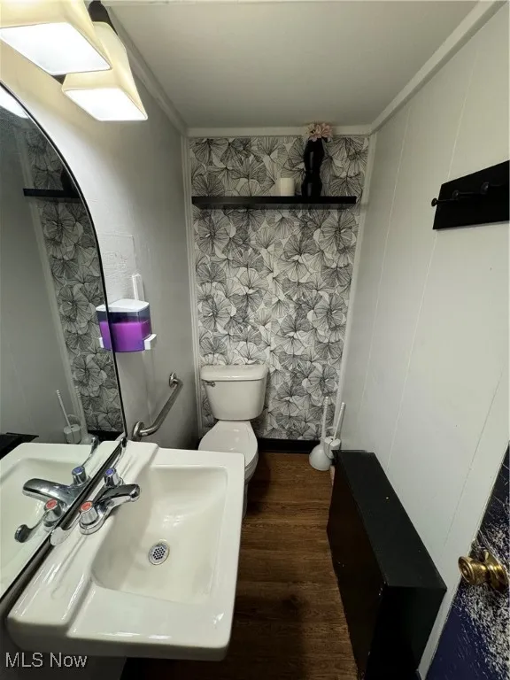 Bathroom with sink, hardwood / wood-style flooring, crown molding, and toilet