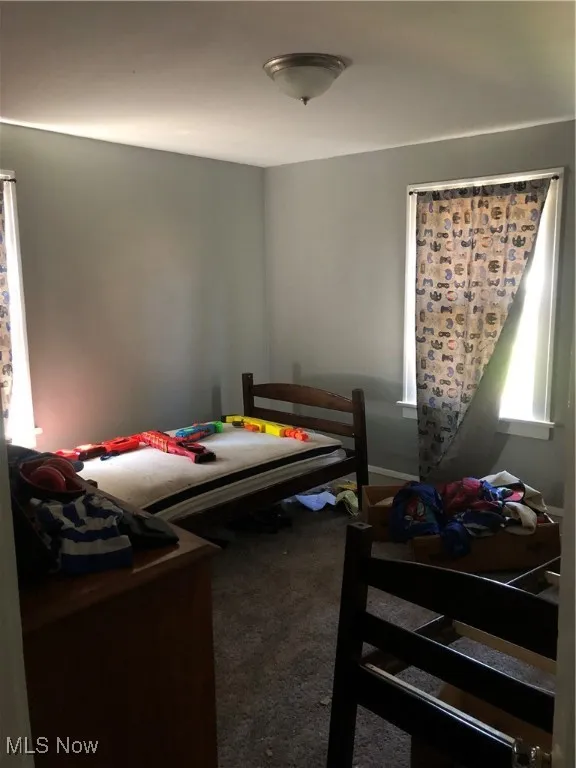Bedroom with dark carpet