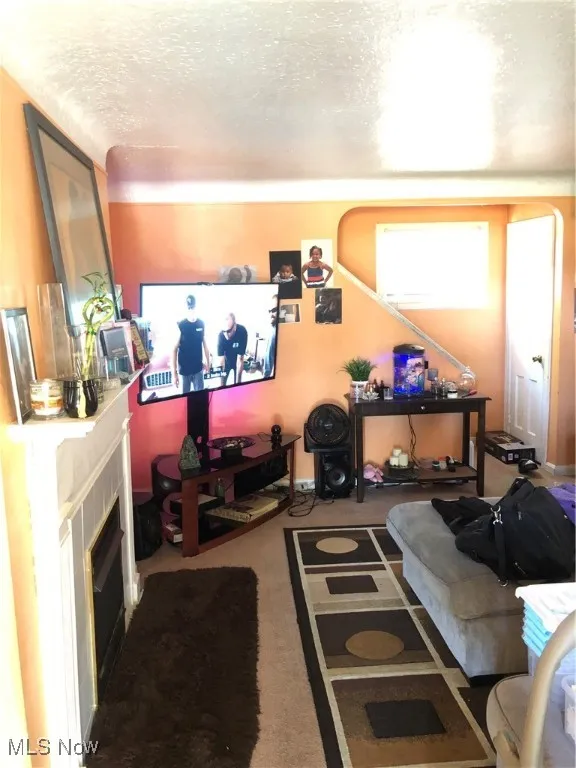 Carpeted living room with a textured ceiling