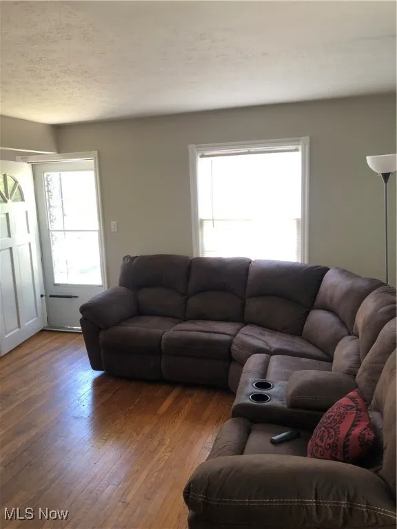 Living room featuring dark hardwood / wood-style flooring