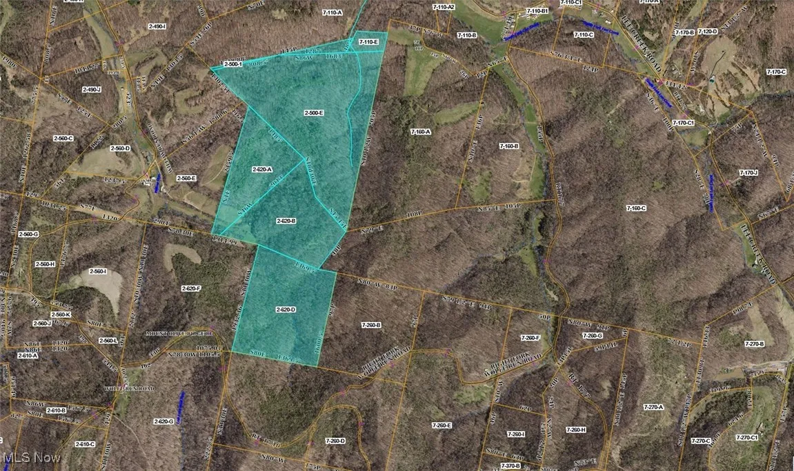 1429 Willow Run Road, Belleville, West Virginia,MLS Now Listing ID