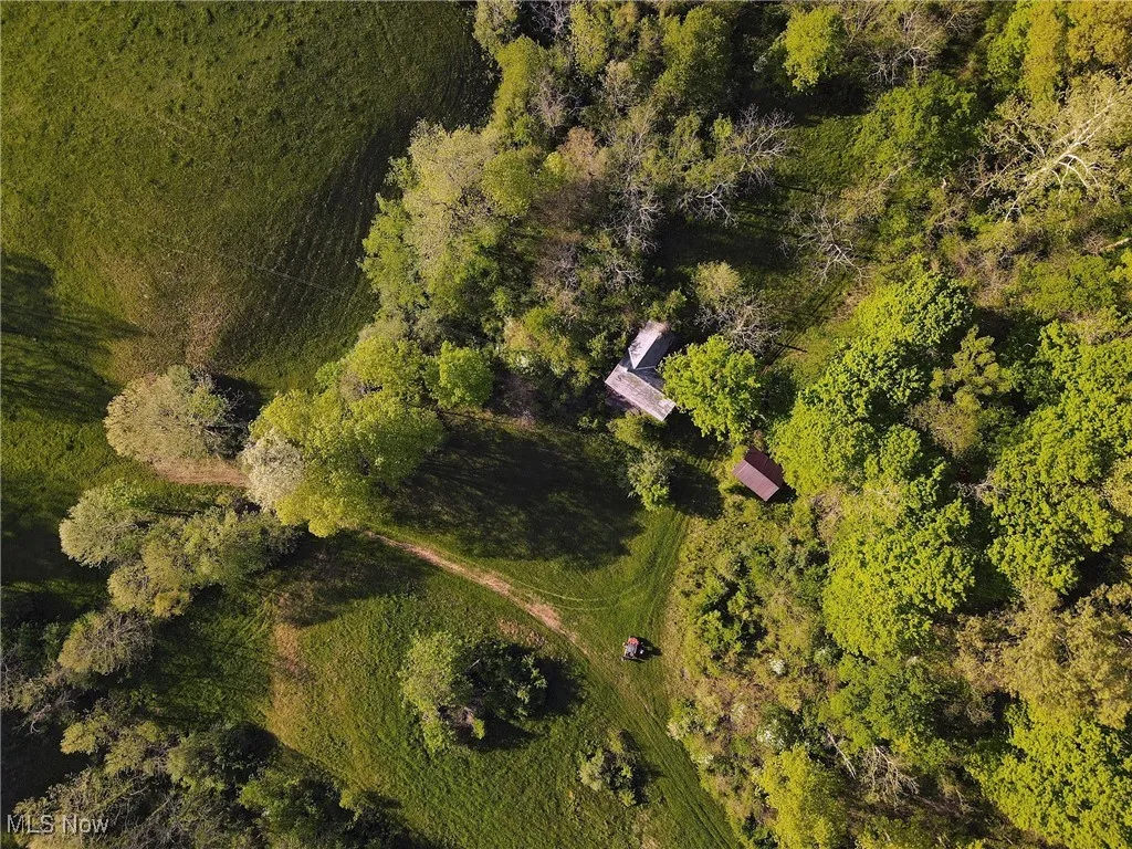 1429 Willow Run Road, Belleville, West Virginia,MLS Now Listing ID