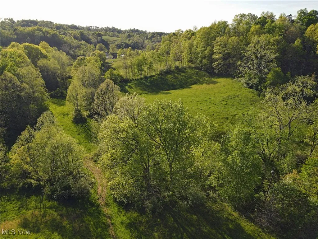 1429 Willow Run Road, Belleville, West Virginia,MLS Now Listing ID