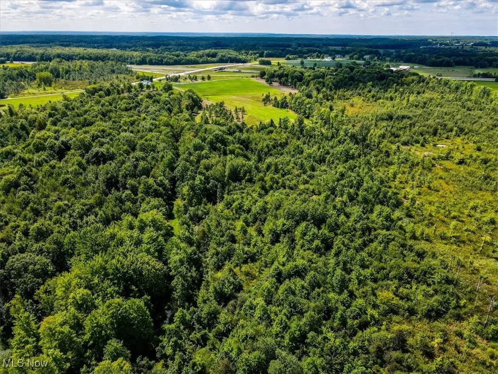 2194 State Route 307, Jefferson, Ohio,MLS Now Listing ID