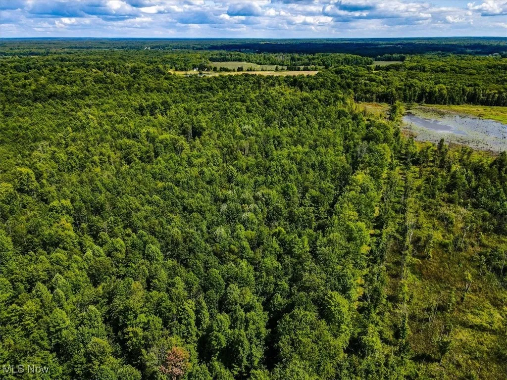2194 State Route 307, Jefferson, Ohio,MLS Now Listing ID