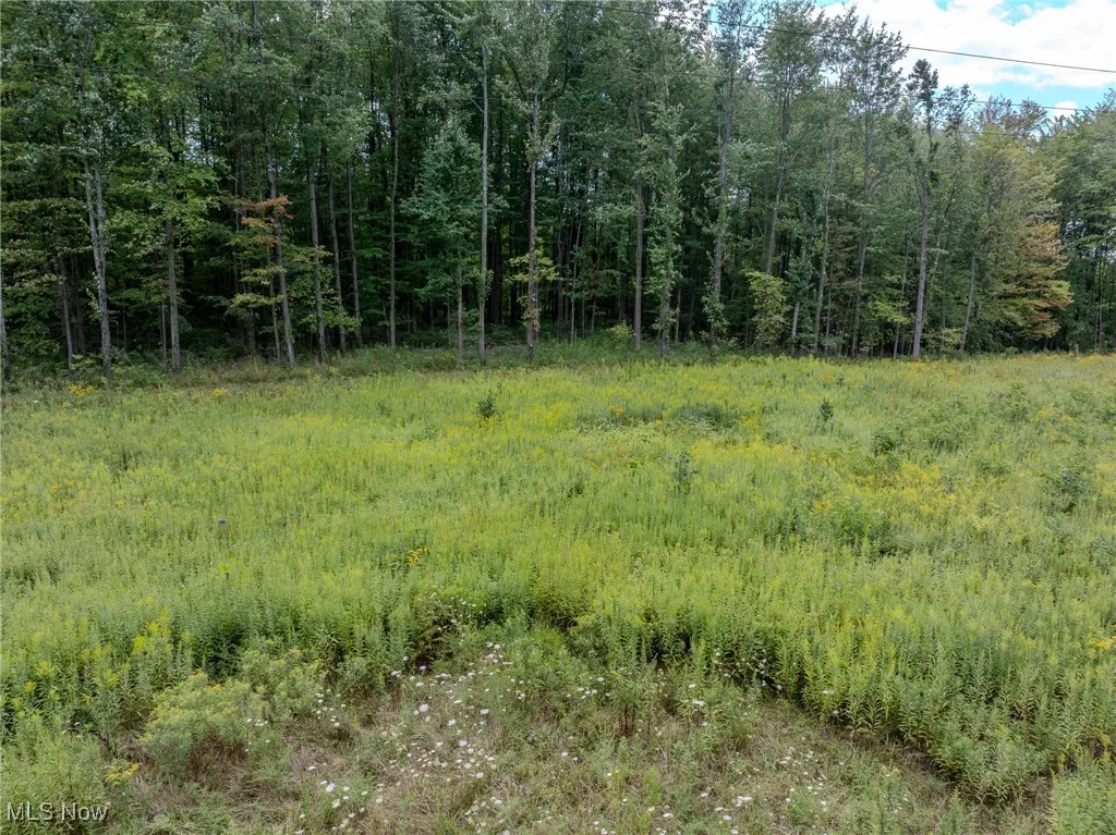 View of nature